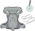 Petmolico No Pull Cute Dog Harness for Small Dogs, with Two Leash Clips and Soft Handle, Reflective Easy Walk Dog Harness- Light Green,Small
