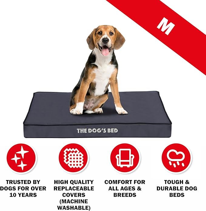 The Dog’s Bed Orthopedic Standard Foam Dog Bed Mattress, Oxford Fabric, Grey with Black Trim, Medium