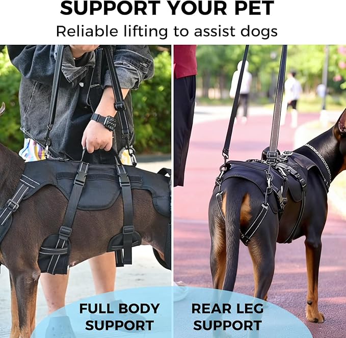 BINGPET Dog Lift Harness for Large Dogs,Full Body Support Rehabilitation Dog Sling Carrier with Handles,Reflective Multifunctional Mobility Assistance Vest for Senior Pets Joint Injuries,Arthritis,XL
