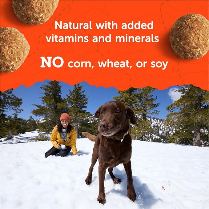 Zuke's Adventure Bites Chicken & Pumpkin Recipe Soft Dog Treats, 6 oz. Pouch