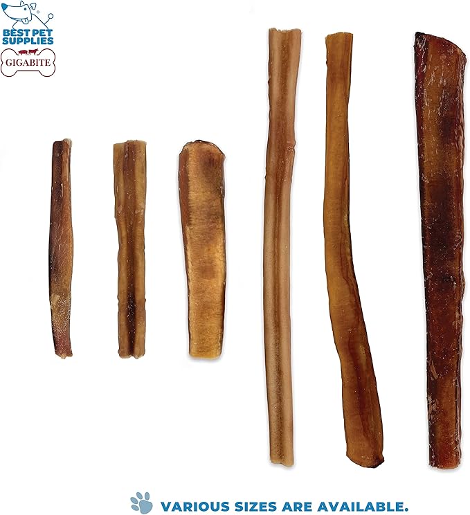 GigaBite Bully Sticks for Dogs All Natural Beef Pizzle Dog Chews, Odor & Rawhide Free Dog Treats, Long Lasting High Protein Chews Digestible Dental Dog Treat - Sticks (Premium 6"), Pack of 8