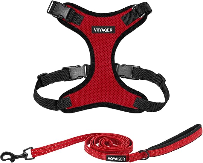 Best Pet Supplies Voyager Step-in Lock Pet Harness w Reflective Pet Leash Combo Set with Neoprene Handle 5ft - Supports Small, Medium and Large Breed Puppies/Cats - Red/Black Trim Set, L