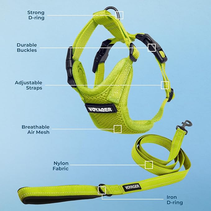 Best Pet Supplies Voyager Step-in Lock Pet Harness w Reflective Pet Leash Combo Set with Neoprene Handle 5ft - Supports Small, Medium and Large Breed Puppies/Cats - Lime Green, S