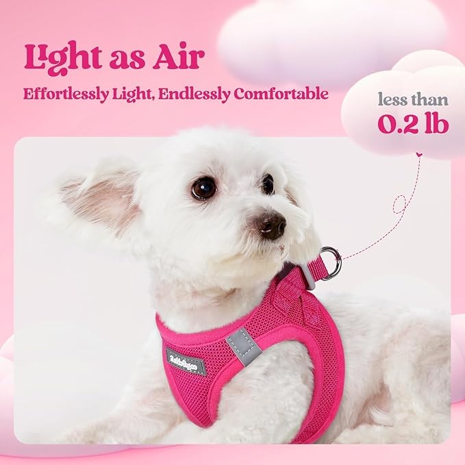 rabbitgoo Dog Harness Small Sized and Leash Set, Step in Soft Light Puppy Vest, Breathable Mesh Pet Harness, Reflective for Safe Easy Walking, Rose Red XXS