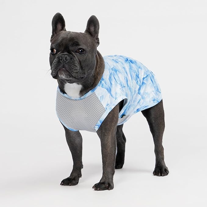 Fitwarm 2 Pack Ice Lemon UPF 50+ UV Sun Protection Dog Shirt, Lightweight Dog Cooling Vest, Quick Dry Summer Clothes for Small Dogs Boy Girl, Pet Outfit, Blue, Yellow, White, XL