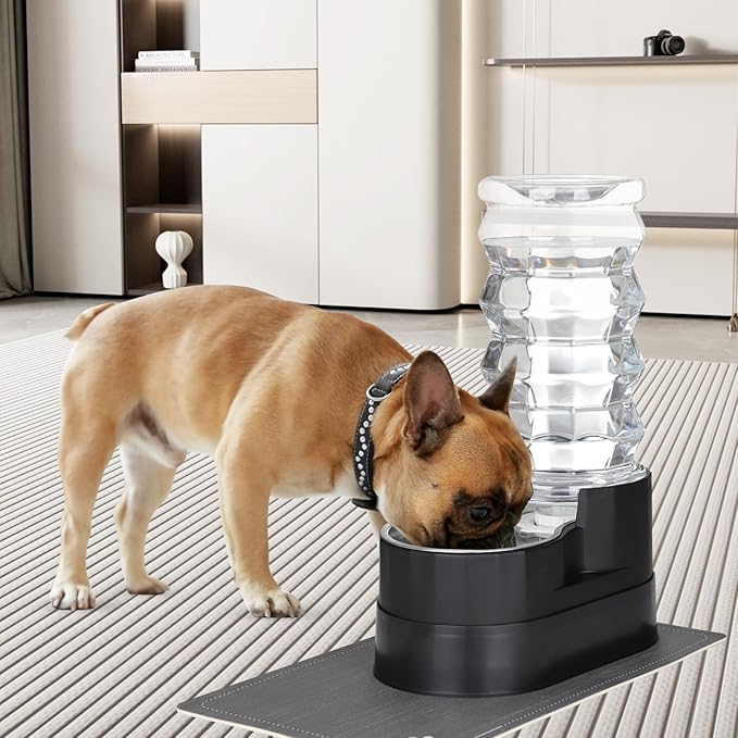 RIZZARI Gravity Water Dispenser for Dogs: 8L Raised Automatic Stainless Steel Waterer -Helps Prevent Urinary Stones - Supports Spine & Joint Health-for Senior Dogs & Large Breeds-Bedrooms & Indoor Use