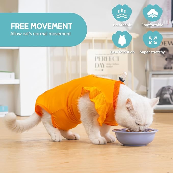 Avont Cat Recovery Suit - Post-Surgery Onesie for Cats, Alternative to Cone of Shame, Protective Spay Suit for Female Kitten, Ideal for Healing and Skin Conditions -Orange(M)