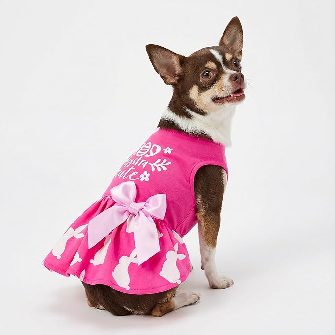 Fitwarm Eggstra Cute Dog Easter Outfit, Bunny Dog Dress, Holiday Dog Clothes for Small Dogs Gril, Pet Cat Clothing, Hot Pink, XS