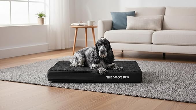 The Dog’s Bed Orthopedic Memory Foam Dog Bed for Medium Dogs, Waterproof Washable Cover, Anti-Slip Base, Calming Surface – CertiPUR-Certified Foam, Black Plush, 4 Inch Thick