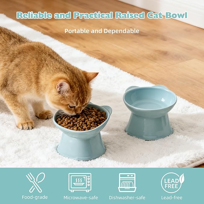KSIA Klear Elevated Cat Bowls 2 Pack, Tilted Raised Cat Bowl for Food and Water, 4.72" Wide, Whisker Friendly Anti Vomit for Indoor Cats, Microwave and Dishwasher Safe, Blue