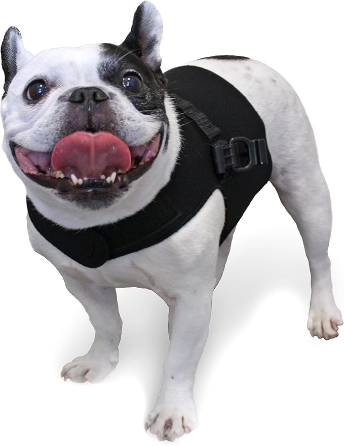 Front Dog Vest Harness | No Pull Harness | Designed for Small Dogs with Broad Chests | Compatible with Dog Wheelchair