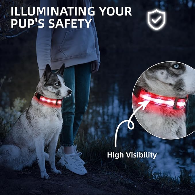 LED Dog Collar for Small Dogs & Toy Breeds – USB-C Rechargeable Light Up Dog Collar, Fully Waterproof Adjustable Glow Collar for Night Walking & Safety(Red,S)