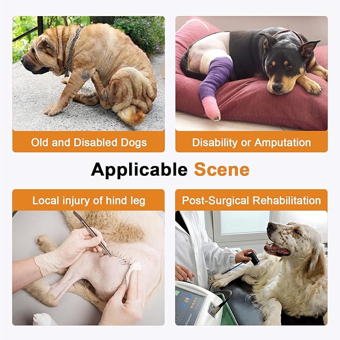 COODEO Professional Dog Sling for Hind Leg Support - Aid for Post-ACL/TPLO Surgery & Senior Dogs, Secure,Breathable & Machine-Washable with Reflective Edging for Safe Walks (Black, L)