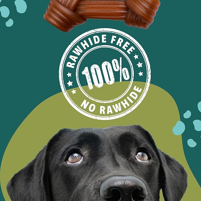Rawhide Free Dog Chews | Ribbed Bones | for Small - Medium Dogs | Pumpkin, Psyllium Husk and Chicory Root for Easy Digestion and Overall Gut Health (12 Bones, Peanut Butter)