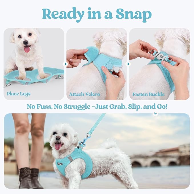 rabbitgoo Dog Harness Medium Sized and Leash Set, Step in Soft Light Puppy Vest, Breathable Mesh Pet Harness, Reflective for Safe Easy Walking, Mint Blue XXL