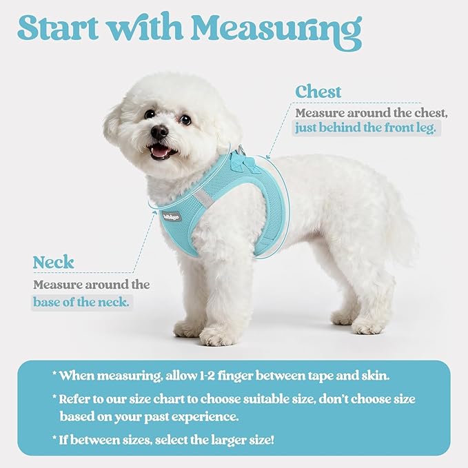 rabbitgoo Dog Harness Small Sized and Leash Set, Step in Soft Light Puppy Vest, Breathable Mesh Pet Harness, Reflective for Safe Easy Walking, Mint Blue M