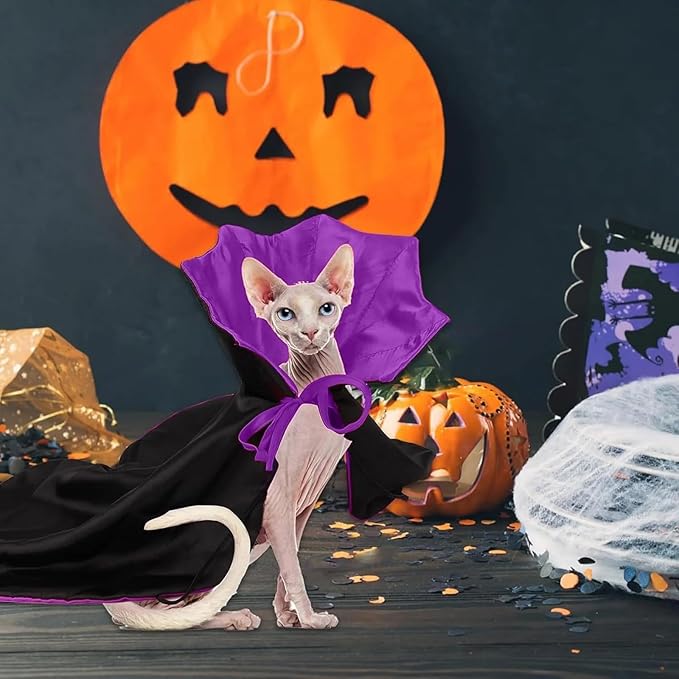 Qiansail Cat Cape Vampire Cloak Halloween Dog Costume Pet Cosplay Apparel Outfit Decor Accessories for Puppy Kitten (Black&Purple)