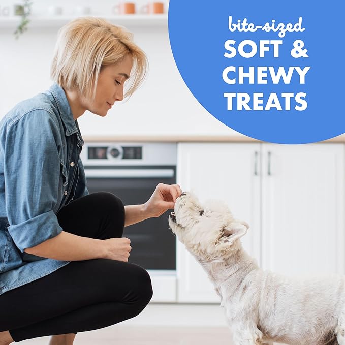 Buddy Biscuits Trainers 10 Oz. Pouch of Training Bites Soft & Chewy Dog Treats Made with Bacon Flavor