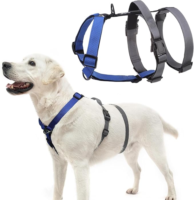 PUPTECK Escape Proof Dog Harness - No Pull Soft Padded Full Body Pet Halter Harness with Lift Handle for Small Medium Large Doggies Walking Hiking Hunting, Navy Blue & Grey, XL