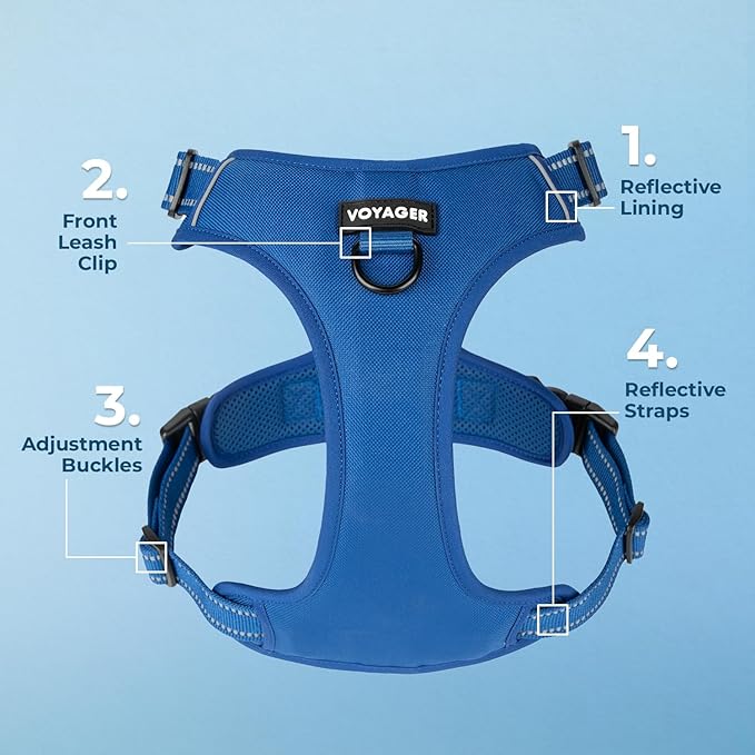 Voyager Dog Harness Dual Leash Attachment No-Pull Control Adjustable Soft but Strong Pet Harness for Medium and Large Dogs with 3M Reflective Technology, Royal Blue Lattice Nylon, L (Chest: 25-30")