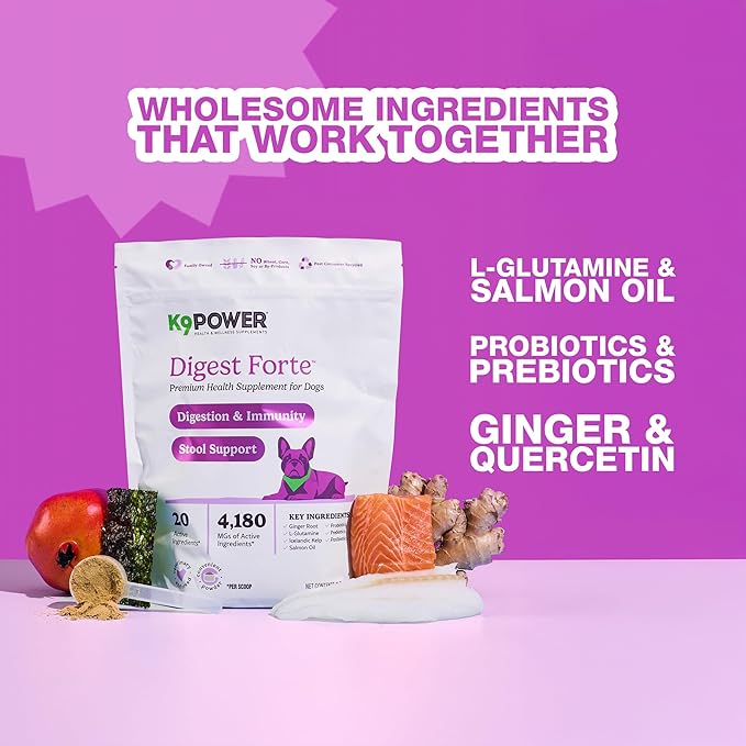 K9 Power Digest Forte – Advanced Digestive & Immune Support for Dogs – Probiotic, Prebiotic, Postbiotic Blend with Salmon Oil, Ginger, Kelp, Pomegranate, L-Glutamine – Gas, Stool, Eye & Gut Relief