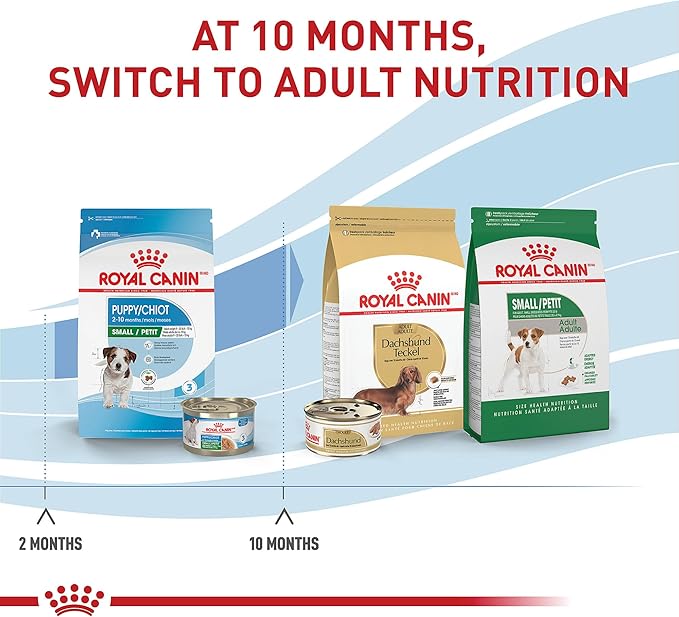 Royal Canin Size Health Nutrition Small Puppy Thin Slices in Gravy Dog Food, 5.1 oz (Pack of 24)