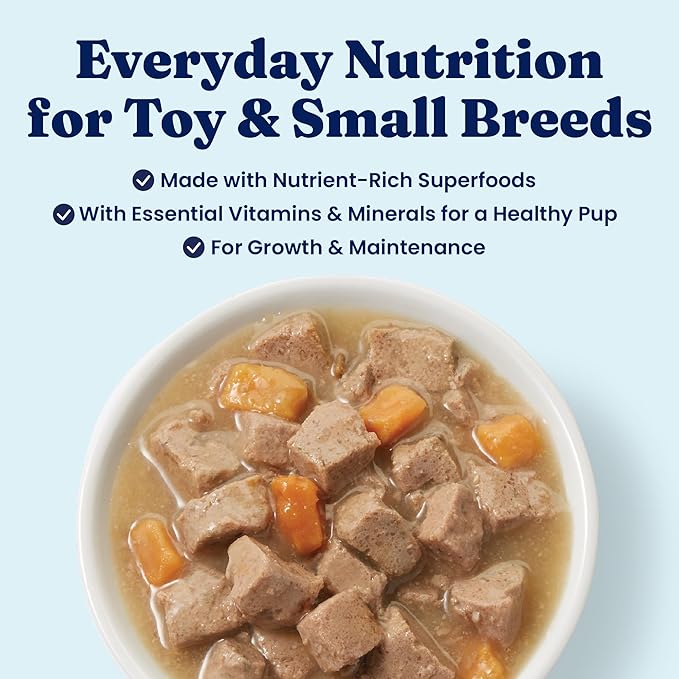 Solid Gold Wet Dog Food for Small Dogs - Grain Free Small Dog Food Wet Recipe w/Real Lamb, Superfoods & Vitamins for Gut Health & Immune Support - for Puppies, Adult & Senior Breeds - 12ct 3.5oz Cups