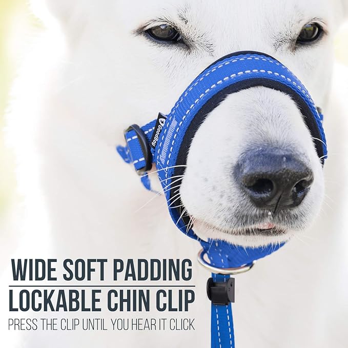 GoodBoy Dog Head Halter with Safety Strap - Stops Heavy Pulling On The Leash - Padded Headcollar for Small Medium and Large Dog Sizes - Head Collar Training Guide Included (Size 4, Blue Nylon)