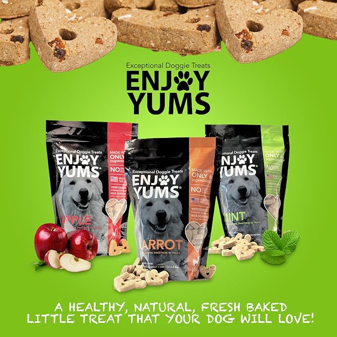 Mint Dog Treats – 1 lb Bag – All-Natural, Low Sugar Dog Biscuits with Peppermint & Honey – Vet-Approved – Made in USA