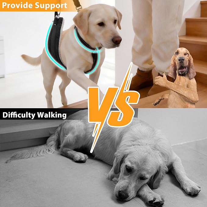 AIITLE Adjustable Anti-Slip Dog Lift Harness with Detachable Collar - Reflective Plush Dog Carrier Sling for Large Dogs, Rear Leg Support for Arthritis, Injury& Elderly Canines (Black, L)