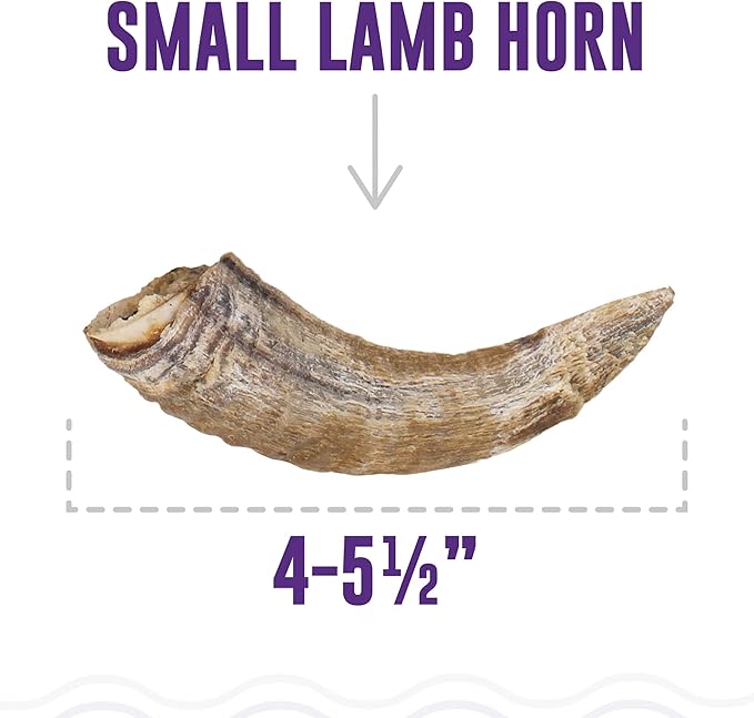 Icelandic+ Lamb Horn with Marrow - Small - 4-5.5" Dog Chew, Long-Lasting Treat, Puppy-Small Dogs, Keratin, All-Natural, Pet Snack, Edible & Digestible (Pack of 4)