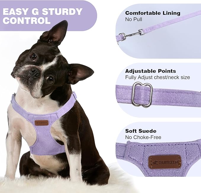 Dog Harness and Leash Set, XS No Pull Adjustable Puppy Harness with Multifunction Purple Dog Leash and Collar, Soft No Choke Escape Proof Pet Harness Vest for Small Dogs and Cats (Purple, XS)