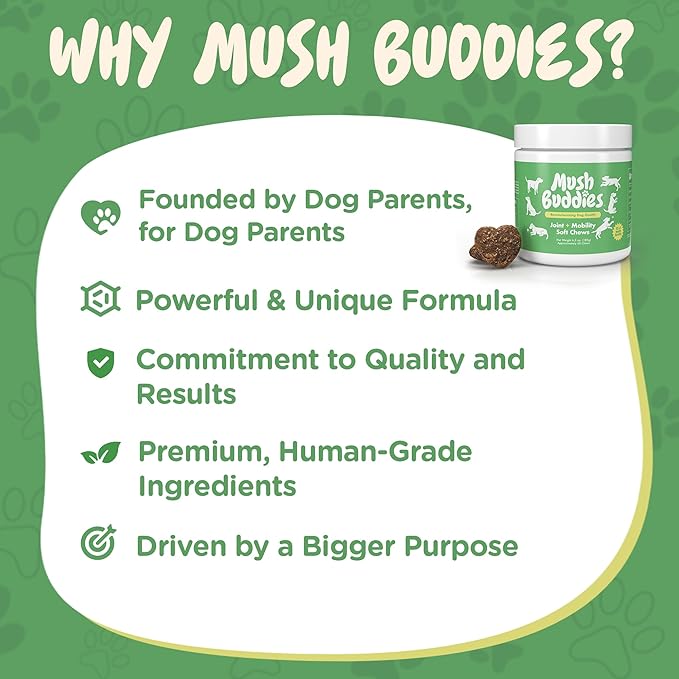 Hip and Joint Supplement for Dogs - Glucosamine for Dogs Plus Chondroitin - Dog Joint Supplement, Vitamins with Collagen, Green Lipped Mussels, Functional Mushrooms, Turmeric, MSM, Salmon Oil - 60 Ct