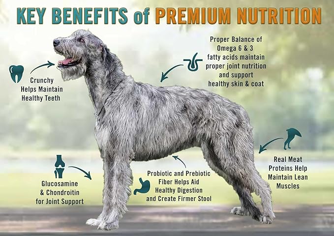 Chicken Soup for the Soul All Natural Premium Large Breed Adult Dry Dog Food, Real Meat First Ingredient, No By-Products, Supports Heart, Gut & Immune Health, Chicken, Turkey & Brown Rice, 28lb