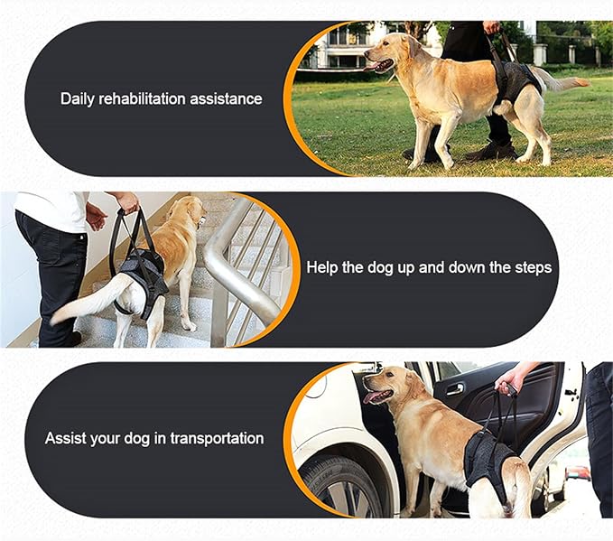Ldabrye Practical Dog Carrying Harness Slide for Rear Legs Assistance and for Small Mediums Large Dog Daily Casual