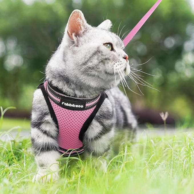 rabbitgoo Cat Harness and Leash Set for Walking Escape Proof, Adjustable Soft Kittens Vest with Reflective Strip for Cats, Comfortable Outdoor Vest, Pink, XL