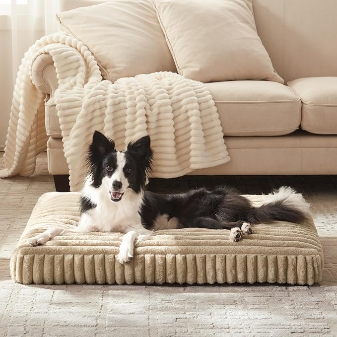 XL Dog Bed, Flat Pet Beds with Removable Washable Cover, Pet Mat Cute Dog Crate Bed Thick Shredded Chopped Crate Foam & Anti Slip Bottom for Indoor, 42"x27"x4"