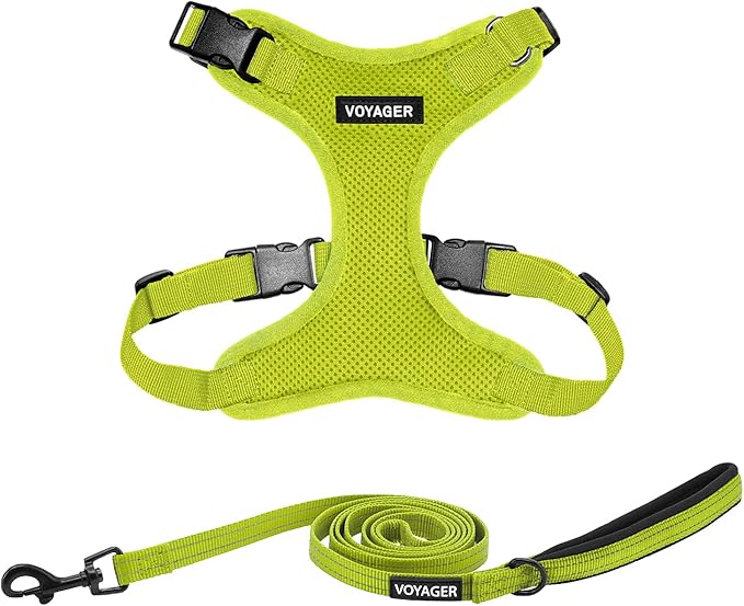 Best Pet Supplies Voyager Step-in Lock Pet Harness w Reflective Pet Leash Combo Set with Neoprene Handle 5ft - Supports Small, Medium and Large Breed Puppies/Cats - Lime Green, XL