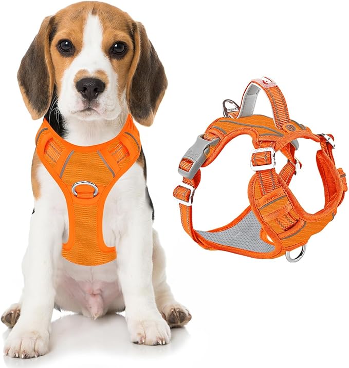 BARKBAY Dog Harness No Pull Oxford with ID Tag Pocket - Heavy Duty, Reflective, Easy Control for Large Dogs(Pumpkin Oxford,M)