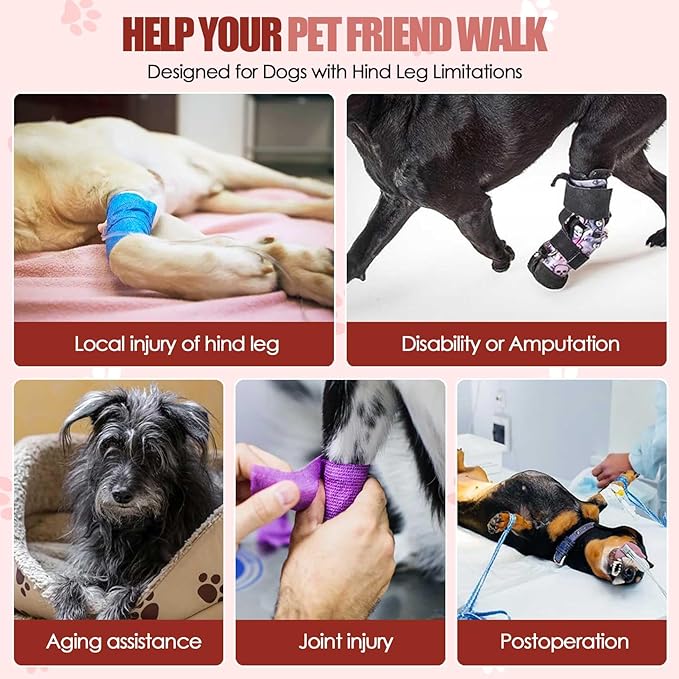 SlowTon Dog Lift Harness - Adjustable Dog Sling for Medium Large Dogs, Hind Leg Support to Help Rehabilitate, Soft Padded Dog Support Harness for Elderly, Injured, Arthritic, Disabled Dogs(R,L)