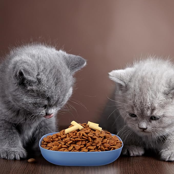 Tioncy 24 Pcs Fatigue Relief Cat Bowl 5.7 Inch Shallow Cat Food Dish Wide and Small Pet Wet Feeding Bowl for Kitten Short Legged Kitten Ferrets Feral Small Animals (Blue, Green, Pink, Beige,Cute)