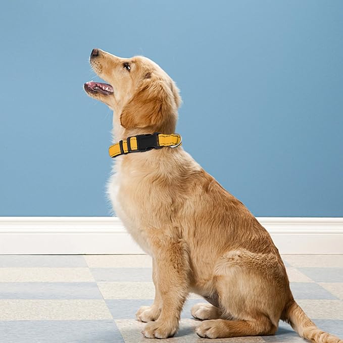Reflective Dog Collar, Adjustable Soft Neoprene Padded Nylon Pet Collars with Buckle for Large Dogs, Yellow,L