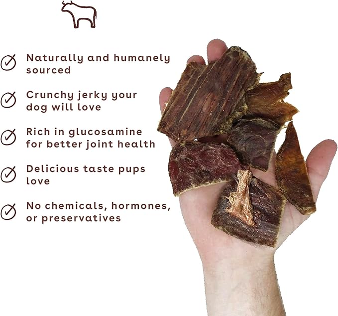 Pupford Crunchy Jerky Treats for Dogs & Puppies, Made in USA, Single Ingredient, No Fillers (Beef, 4 oz)