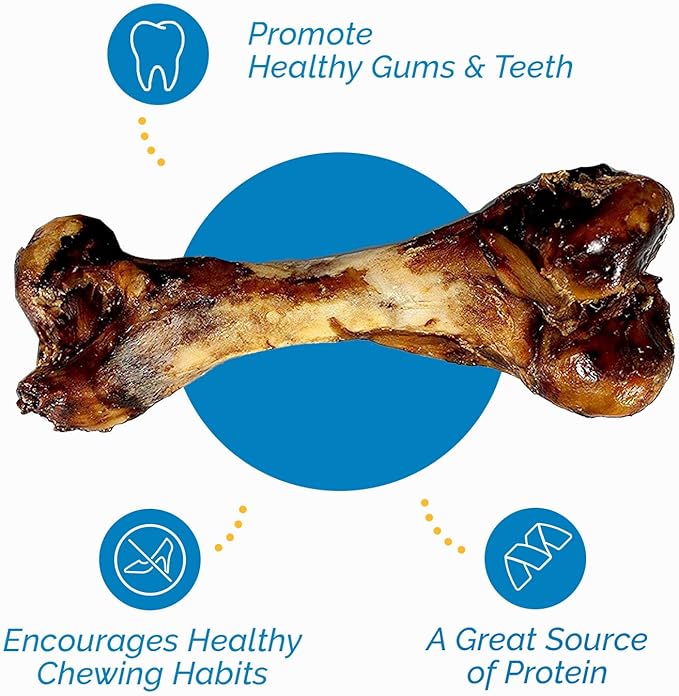 123 Treats Dog Bone for Aggressive Chewers - 100% Natural Pork & Beef Flavored Meaty Dog Chews, Made from Grass Fed Cattle, Grain Free Femur Bone | 1 Count