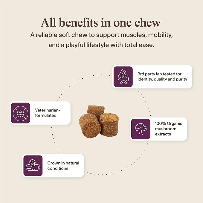Real Mushrooms Mobility Chews for Dogs & Cats – Green Lipped Mussel & ErgoGold Mushroom Blend – Dogs & Cat Vitamins Treats for Active Routines – Joint, Hip & Flexibility Support – 240 ct Supplement