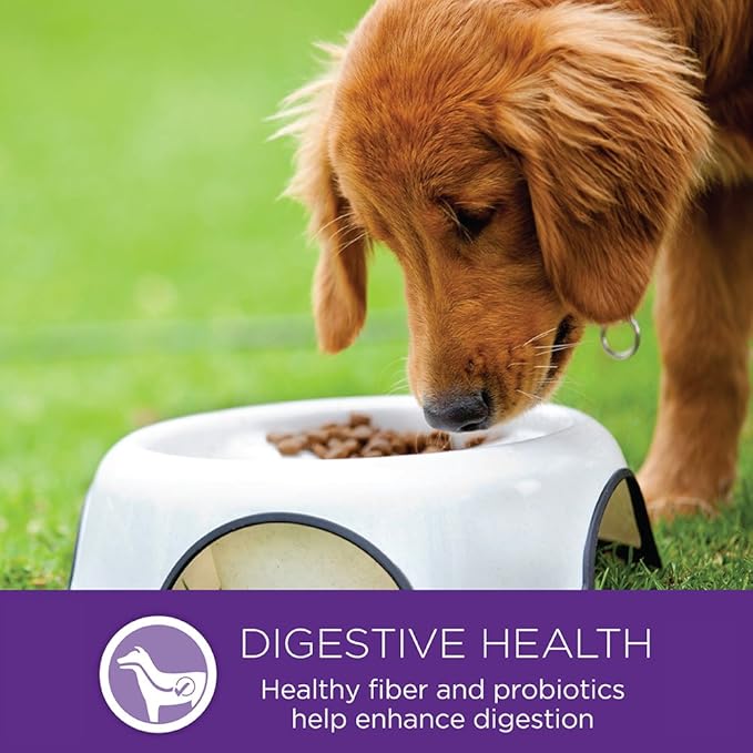 Wellness Complete Health Puppy Dry Dog Food, Large Breed, Wholesome Grains, Natural, Chicken, Oatmeal, & Salmon Recipe, (30-Pound Bag)