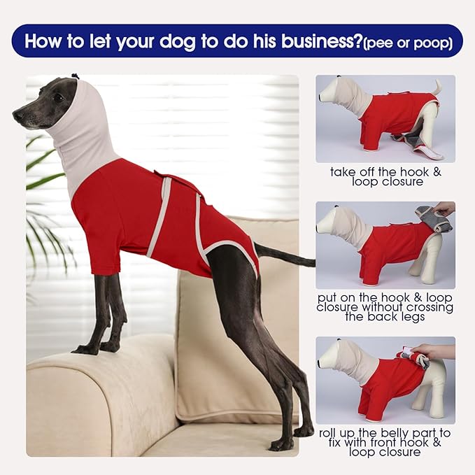 FUAMEY Dog Surgical Recovery Suit Female, Cone Alternative After Surgery Prevent Pets from Licking Wounds, Surgery Suit for Dogs Male Neuter, Post Spay Recovery Dog Onesie, Rat Terrier (Red, M)