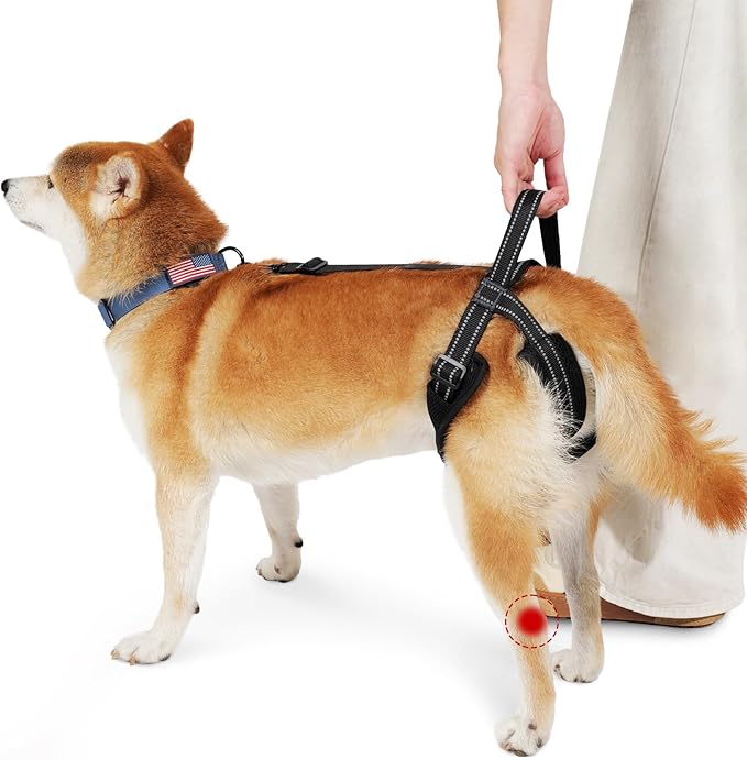 ROZKITCH Pet Dog Support Harness Rear Lifting Harness for Back Legs Reflective Dog Sling Vet Approved for Old Helps with Poor Stability Hind Legs, Joint Injuries Elderly Arthritis ACL Rehab Black S