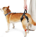 ROZKITCH Pet Dog Support Harness Rear Lifting Harness for Back Legs Reflective Dog Sling Vet Approved for Old Helps with Poor Stability Hind Legs, Joint Injuries Elderly Arthritis ACL Rehab Black M