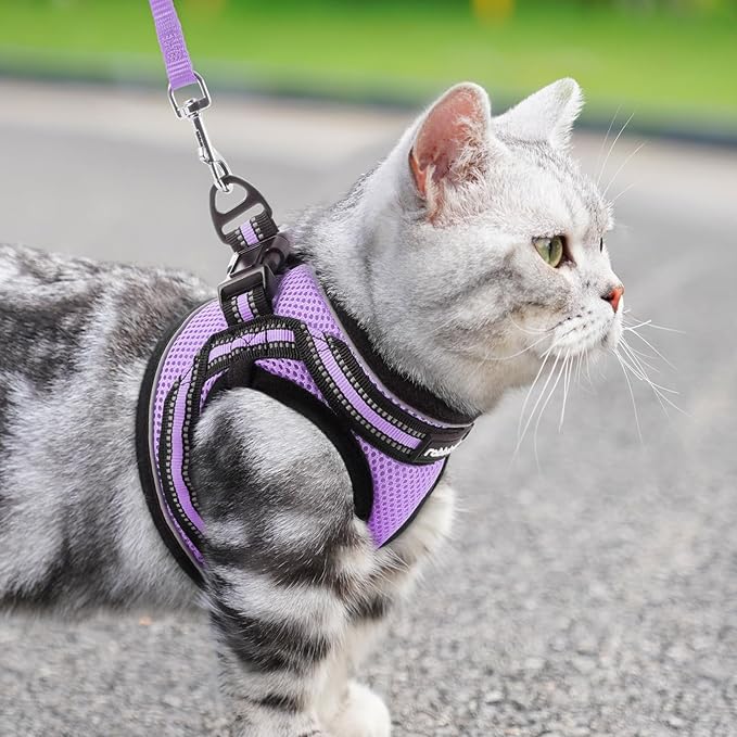 rabbitgoo Cat Harness and Leash Set for Walking Escape Proof, Adjustable Soft Kittens Vest with Reflective Strip for Cats, Comfortable Outdoor Vest, Light Purple, S